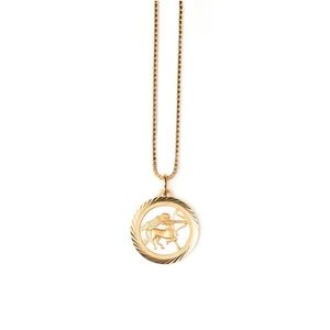 Mercii Sagitarius statement zodiac necklace